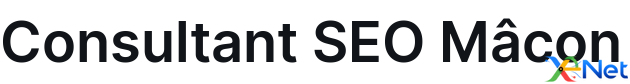 Consultant SEO Mâcon